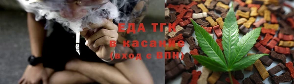 индика Беслан