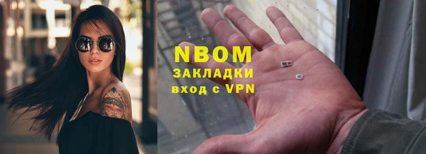 индика Беслан