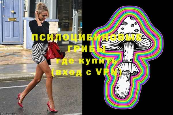 ГАЛЛЮЦИНОГЕННЫЕ ГРИБЫ Новодвинск