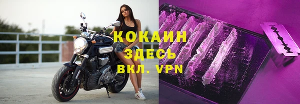 ГАЛЛЮЦИНОГЕННЫЕ ГРИБЫ Новодвинск